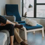 Casal sentado em um sofá assistindo TV em uma sala moderna, com um gato branco descansando em uma poltrona ao lado, próximo a uma grande janela que deixa entrar luz natural.