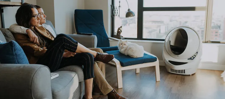 Casal sentado em um sofá assistindo TV em uma sala moderna, com um gato branco descansando em uma poltrona ao lado, próximo a uma grande janela que deixa entrar luz natural.