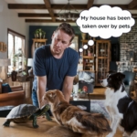 Homem de camiseta azul inclinado sobre uma mesa, observando uma tartaruga, um gato laranja e branco, e um cão de pelo preto e branco em uma sala de estar decorada; balão de pensamento diz: "My house has been taken over by pets".