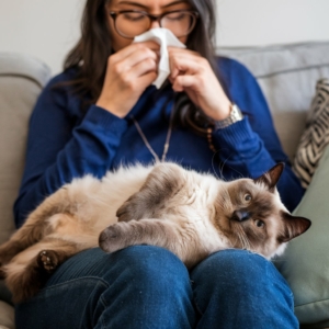 Mulher sentada no sofá com gato siamês deitado no colo, relaxado, enquanto ela usa um lenço no rosto. Ambiente acolhedor e doméstico.