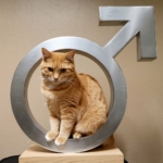 Imagem de um gato laranja sentado dentro de uma estrutura metálica prateada em forma do símbolo masculino (círculo com uma seta apontando para o canto superior direito), sobre uma base de madeira, com um fundo neutro.