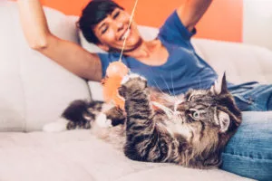 Mulher sorridente brincando com gato de pelo longo listrado usando brinquedo de corda, enquanto estão em um sofá cinza.