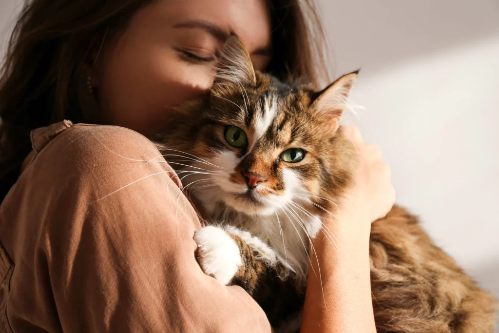 Mulher abraçando um gato siberiano de pelos longos, com olhar atento e carinhoso. Luz suave destacando o rosto do gato.